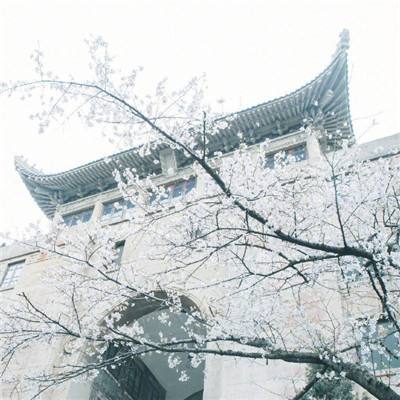 北京：严打入室盗窃犯罪 最大限度挽回民众财产损失